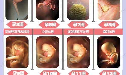激光治疗疣能根治吗-激光治疗疣体后图片网 - 网站提供激光治疗疣恢复过程图片小常识、激光手术治疗疣需要多长时间